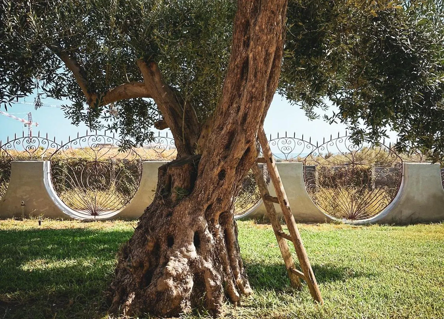 Dimora Harmonia Hotel Carini