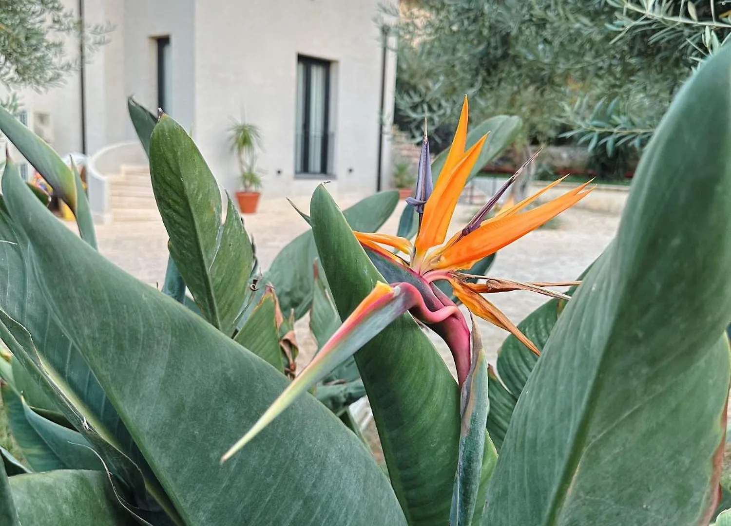 Dimora Harmonia Hotel Carini